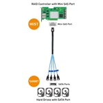 Cable Matters Internal Mini-SAS to 4x SATA Forward Breakout Cable
