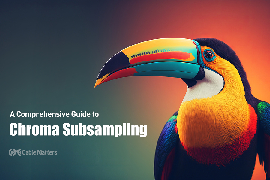A Comprehensive Guide to Chroma Subsampling
