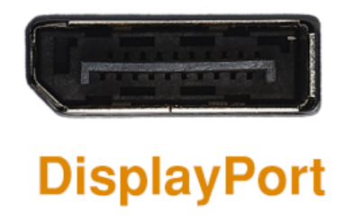 What is DisplayPort 1.4? A Picture of the Port