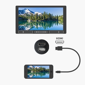 	 Cable Matters Car Stereo HDMI and USB Port Extender Cable/USB HDMI Car Mount Cable 