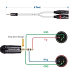 Cable Matters 3.5mm (1/8 Inch) TRS to 2 XLR Cable, Male to Male Aux to Dual XLR Breakout Cable