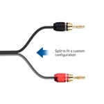 Cable Matters 12 AWG Speaker Cable with Banana Plug Connectors