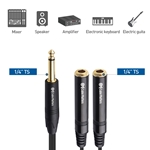 Cable Matters (2-Pack) TS Male to Dual Female Y-Splitter Adapter