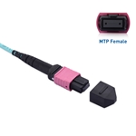 Cable Matters MTP® Female to MTP® Female OM4 Multimode Trunk Fiber Optic Cable