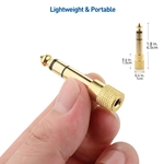 Cable Matters 2-Pack 6.3mm (1/4 inch) to 3.5 mm Male to Female Stereo Adapter