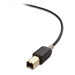 Cable Matters USB-C to USB-B Printer Cable