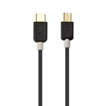 Cable Matters USB-C to Mini USB 2.0 Cable