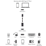 Cable Matters USB-C to USB 3.0 Adapter 6 Inches