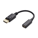 Cable Matters DisplayPort to Mini DisplayPort Adapter 6 Inches