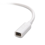 Cable Matters Mini DisplayPort Extension Cable