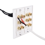 Cable Matters Double Gang Speaker Wall Plate with Binding Post for 6 Speakers